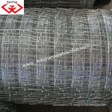 Fournisseur de la Chine d&#39;Anping Farm Fence Grassland Fence (TYF-005)